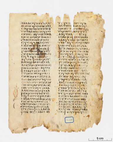 feuillet de codex, image 3/8