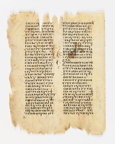 feuillet de codex, image 4/8