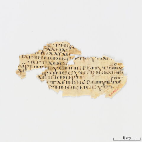 feuillet de codex ; fragment, image 3/6