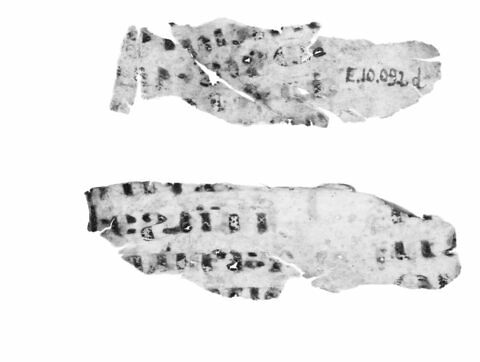 feuillet de codex ; fragment, image 5/5