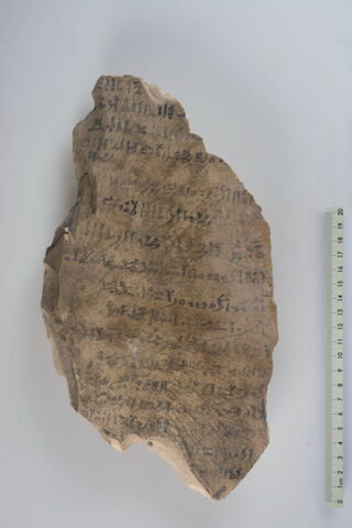 ostracon, image 2/3