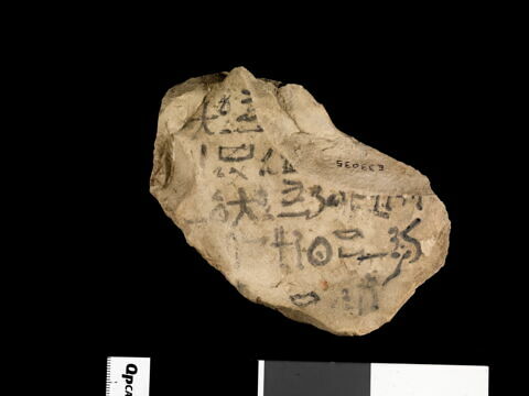 ostracon, image 1/2
