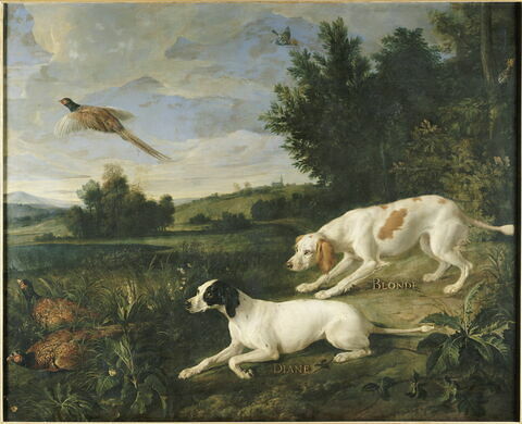 Diane et Blonde, chiennes de la meute de Louis XIV, chassant