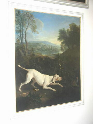 Tane, chienne de Louis XIV, arrêtant deux perdrix