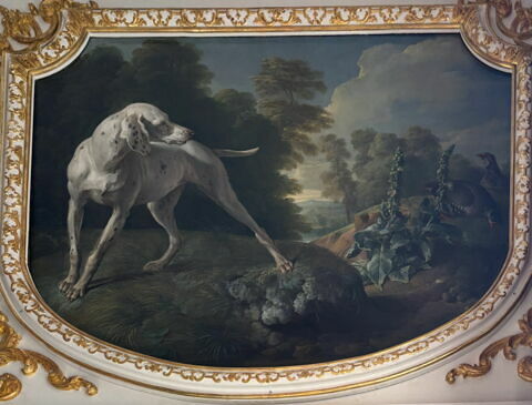 Chienne et deux perdrix