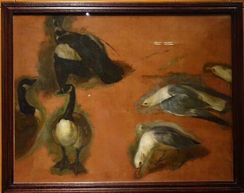 Trois canards et trois goélands, image 2/2