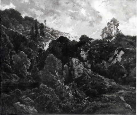 Rochers dans la forêt de Fontainebleau, image 17/17