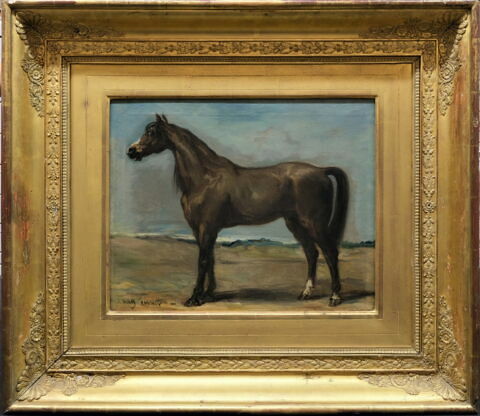 Cheval arabe de profil à gauche, image 1/5