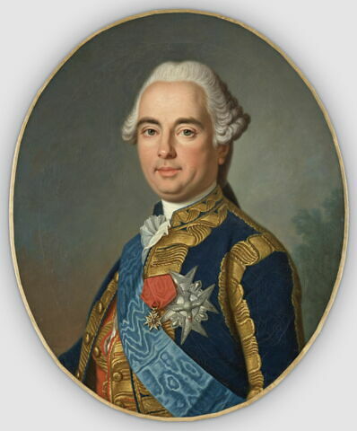 Portrait de Victor François, duc de Broglie, maréchal de France, image 1/1