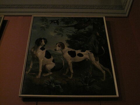 Pompée et Florissant, chiens de la meute de Louis XV, image 2/2
