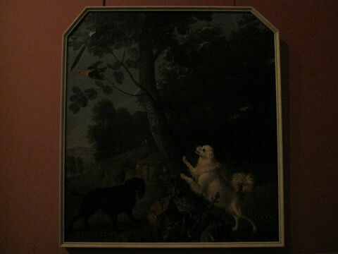 Merluzine et Cocoq, chiennes de Louis XV, image 2/2