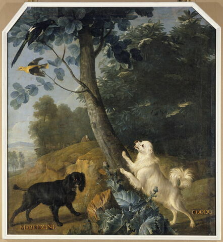 Merluzine et Cocoq, chiennes de Louis XV