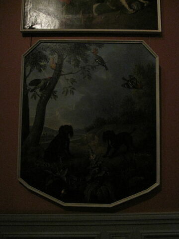 Muscade et Hermine, chiennes de Louis XV, image 2/2