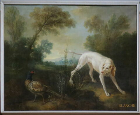 Blanche, chienne de la meute de Louis XV, image 2/3