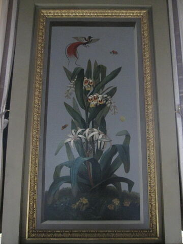 Huit tableaux représentant diverses espèces de lys : Fritillaria imperialis (Couronne impériale), Lilium pomponium (Lis pompom), image 2/2
