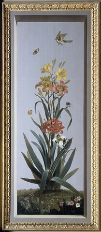 Huit tableaux représentant diverses espèces de lys :Lilium bulbiferum (Lis bulbifère), Crinum giganteum (Crinum géant)