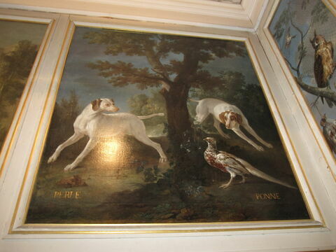 Perle et Ponne, chiennes de la meute de Louis XIV, image 2/2