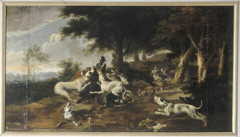 Sanglier faisant tête aux chiens