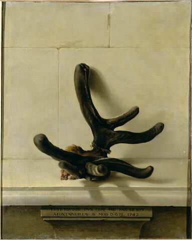 Tête bizarre d'un cerf pris par le Roi à Fontainebleau au mois d' avril  1742