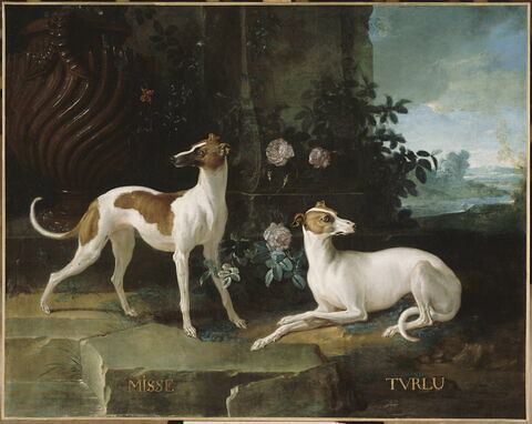 Misse et Turlu, levrettes de Louis XV, image 1/1