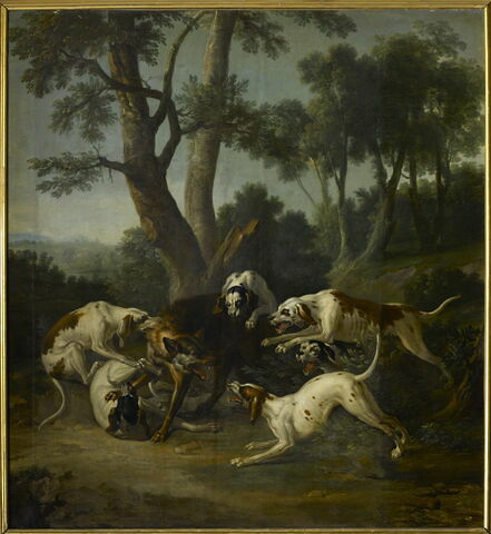 Loup faisant tête à six chiens