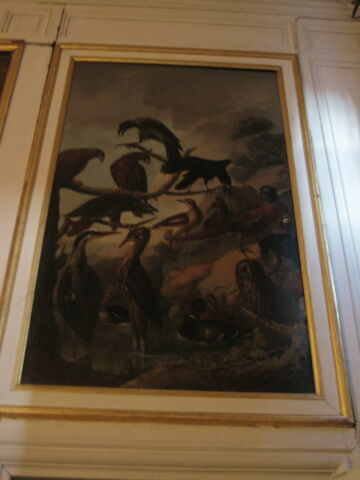Oiseaux assemblés près d'un marécage, image 2/2