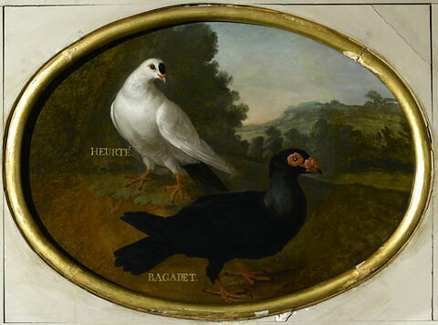 Deux pigeons dans un paysage: Heurte et Bagadet, image 1/1