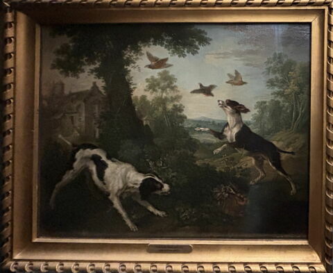Chien chassant, image 2/6