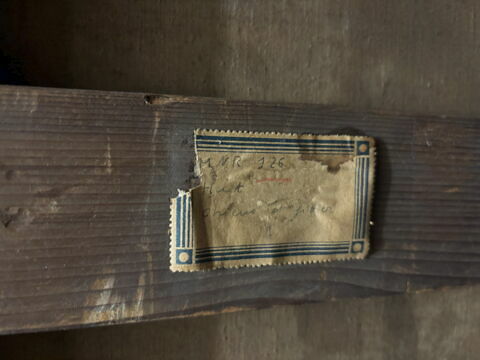 Chien chassant, image 4/6