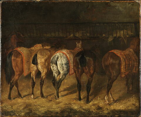 Cinq chevaux vus par la croupe, dans une écurie