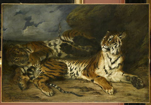 Jeune tigre jouant avec sa mère, dit aussi Étude de deux tigres