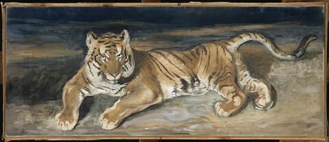 Tigre couché, image 2/3