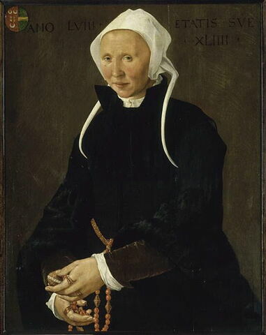 Portrait de femme âgée de 44 ans en 1558, image 11/11
