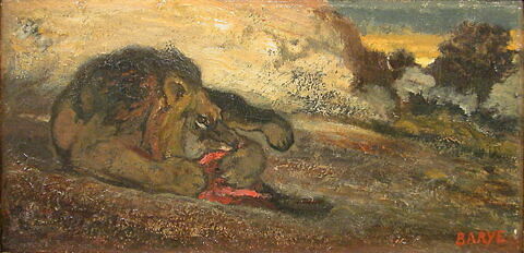 Lion dévorant sa proie, image 4/5