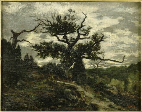 Le "Jean de Paris", Forêt de Fontainebleau