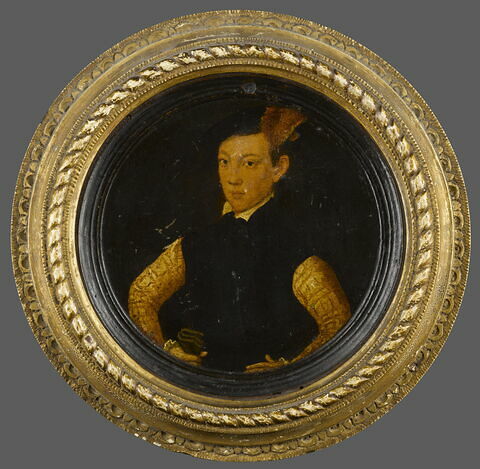 Portrait dit de Lord Darnley à dix-huit ans, image 1/3