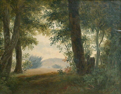 À la Fayolle, près de Nemi : forêt et fonds, dit aussi: Clairière d'un sous-bois, image 2/4