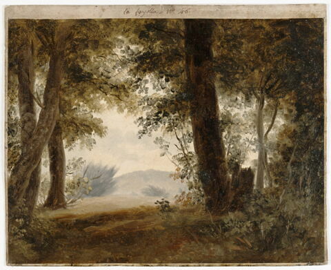 À la Fayolle, près de Nemi : forêt et fonds, dit aussi: Clairière d'un sous-bois, image 4/4