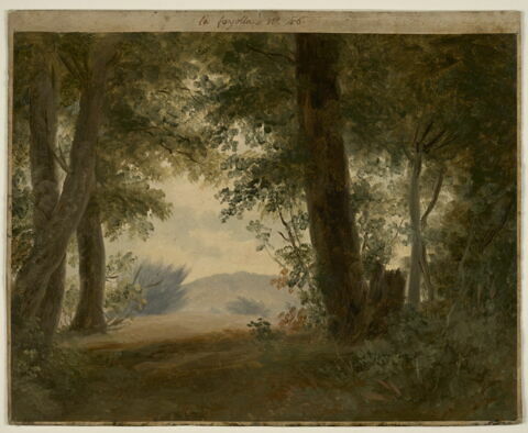 À la Fayolle, près de Nemi : forêt et fonds, dit aussi: Clairière d'un sous-bois, image 1/4