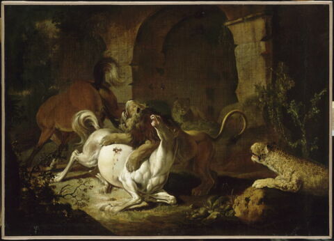 Cheval dévoré par des fauves, image 22/22