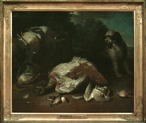 Gibier gardé par un chien barbet, image 3/3