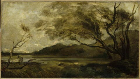 Arbres près d'un étang, image 6/6