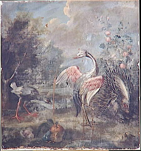 Porc-épic et deux oiseaux échassiers, image 3/3