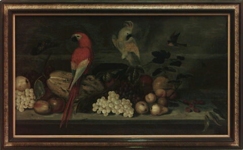 Nature morte aux perroquets, image 20/20