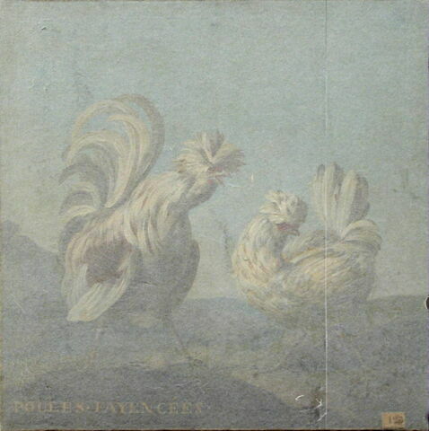 Poules faïencées, image 2/2