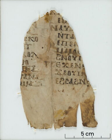 feuillet de codex ; fragment, image 2/6