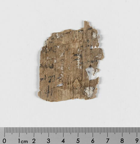 papyrus documentaire, image 2/3
