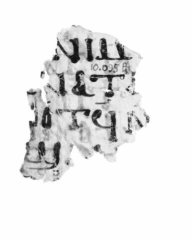 parchemin ; fragment, image 2/2