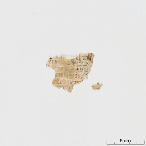 feuillet de codex ; fragment, image 2/6