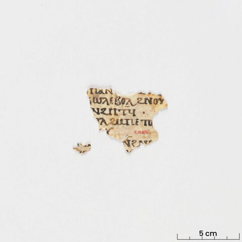 feuillet de codex ; fragment, image 3/6